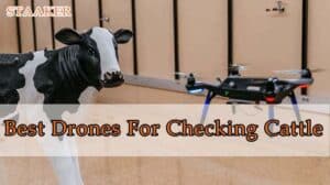 Best Drones For Checking Cattle 2022