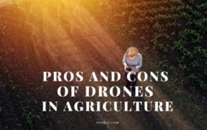 Pros and Cons of Drones in Agriculture