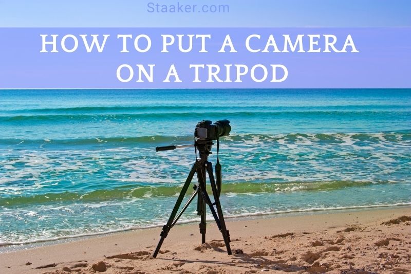 How To Put A Camera On A Tripod Top Full Instruction 2022