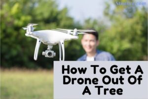 How To Get A Drone Out Of A Tree Top Full Instructions 2022