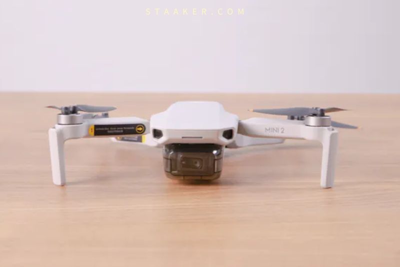 Should I Buy the DJI Mini 2