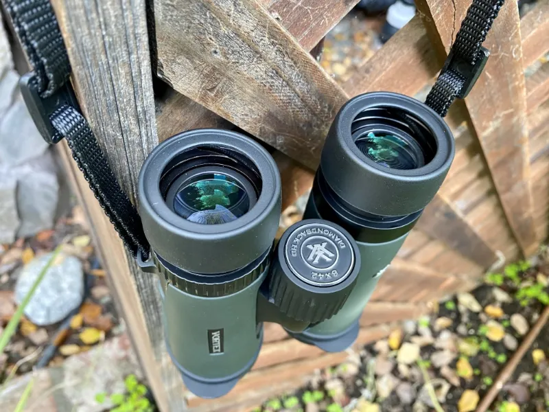 Lightweight Binoculars for Bird Watching